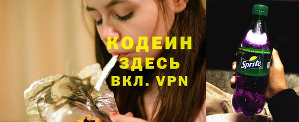 шишки Нязепетровск