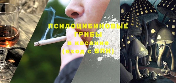 mdma Няндома