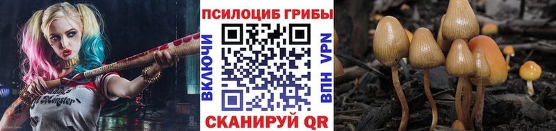 Псилоцибиновые грибы GOLDEN TEACHER  MEGA зеркало  Лысково 